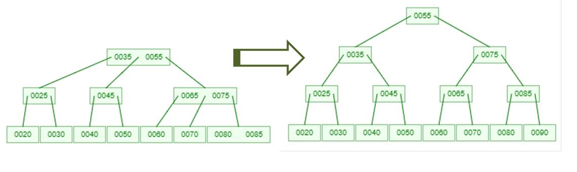 Displays addition of value in two three tree