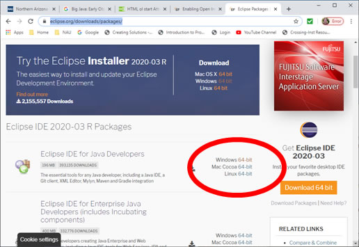 Picture of Eclipse for java download page